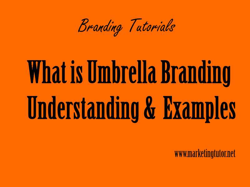 umbrella definition